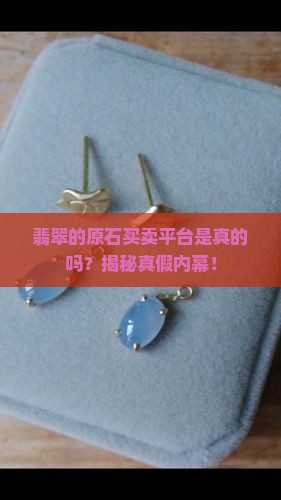翡翠的原石买卖平台是真的吗