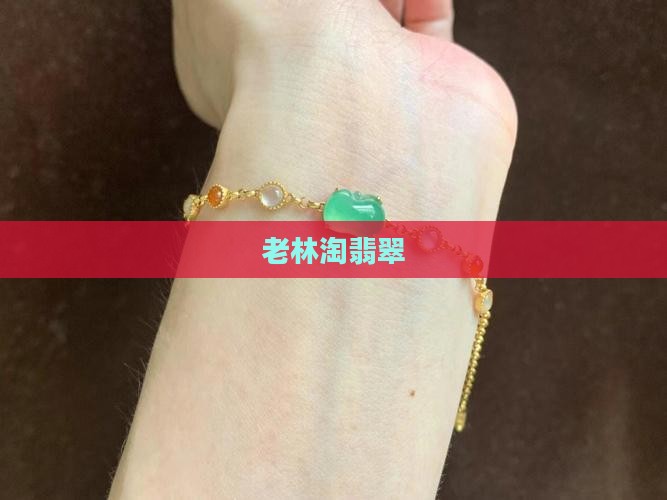 老林淘翡翠