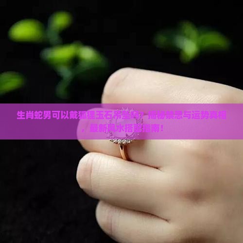生肖蛇男可以戴狐狸玉石吊坠吗