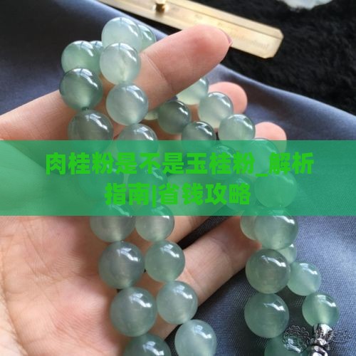 肉桂粉是不是玉桂粉