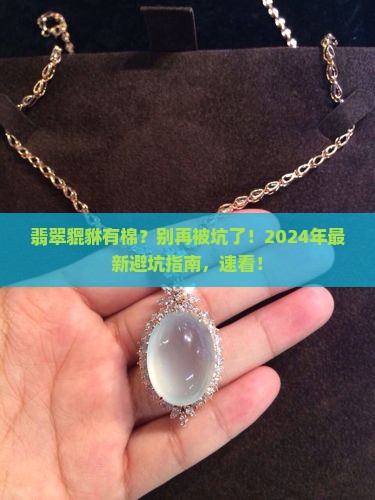 翡翠貔貅有棉