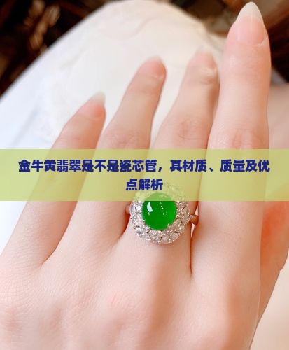 金牛黄翡翠是不是瓷芯管