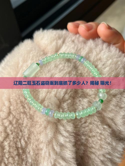 辽阳二旺玉石盗窃一共抓多少人