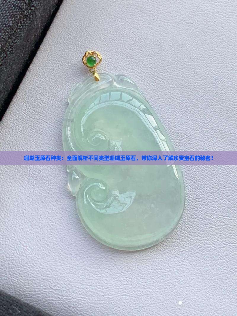 珊瑚玉原石种类