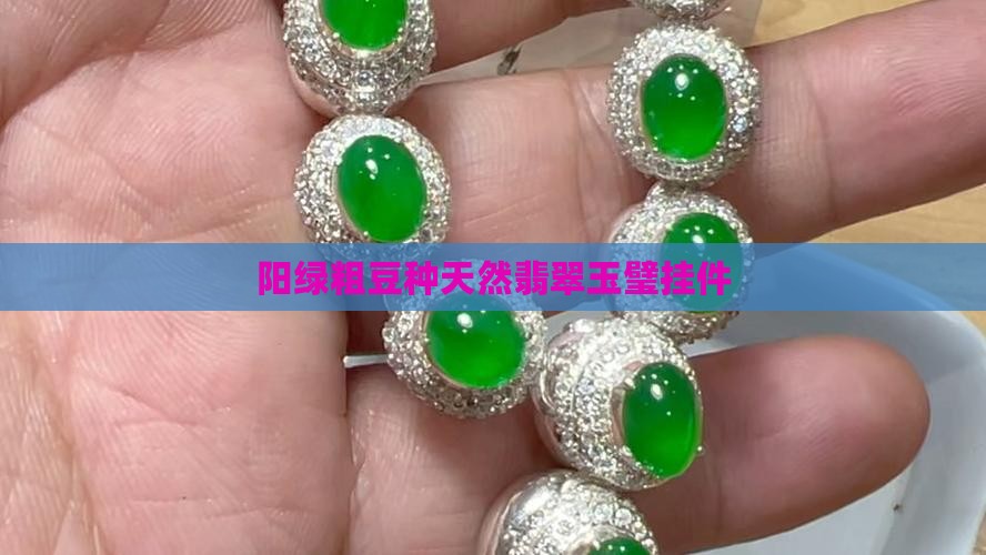 阳绿粗豆种天然翡翠玉璧挂件