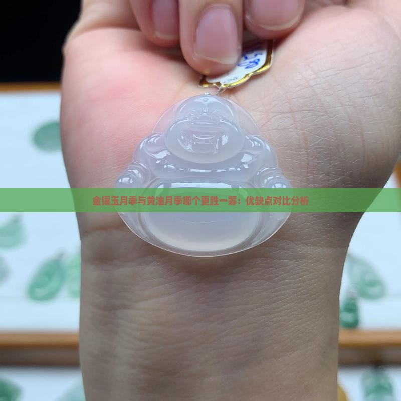 金镶玉月季与黄油月季哪个更胜一筹：优缺点对比分析