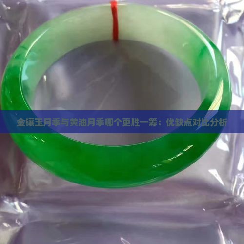 金镶玉月季与黄油月季哪个更胜一筹：优缺点对比分析