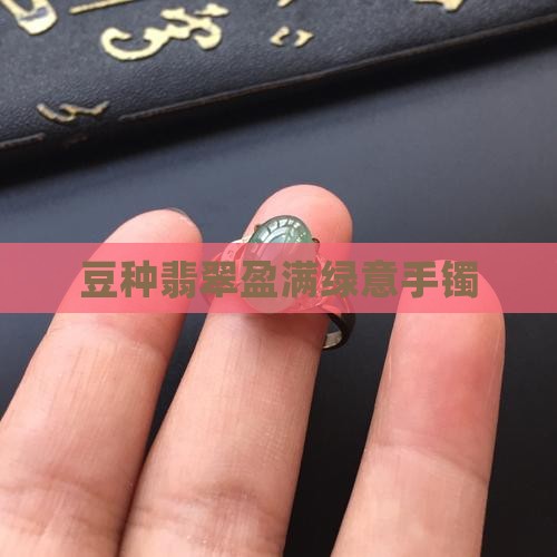 豆种翡翠盈满绿意手镯