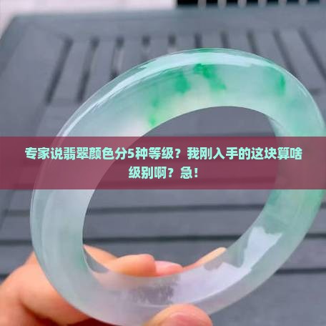 专家说翡翠颜色分5种等级？我刚入手的这块算啥级别啊？急！