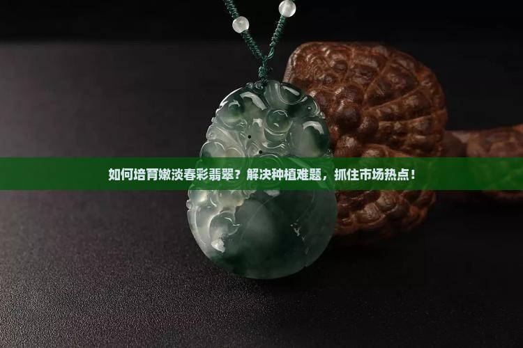 如何培育嫩淡春彩翡翠？解决种植难题，抓住市场热点！