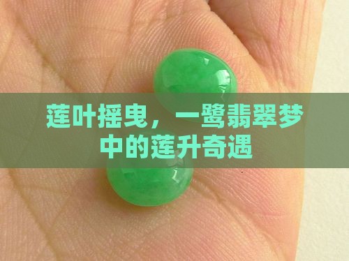 莲叶摇曳，一鹭翡翠梦中的莲升奇遇
