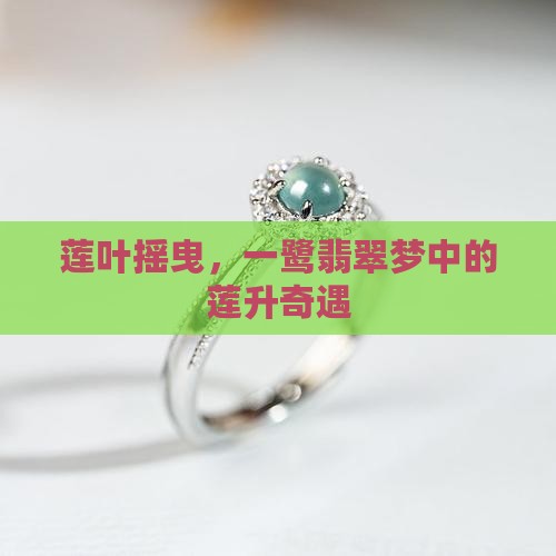 莲叶摇曳，一鹭翡翠梦中的莲升奇遇
