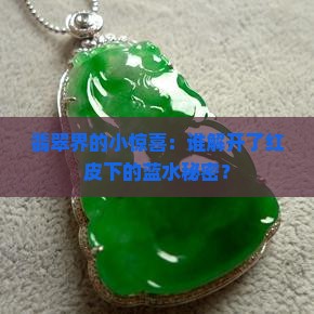 翡翠界的小惊喜：谁解开了红皮下的蓝水秘密？