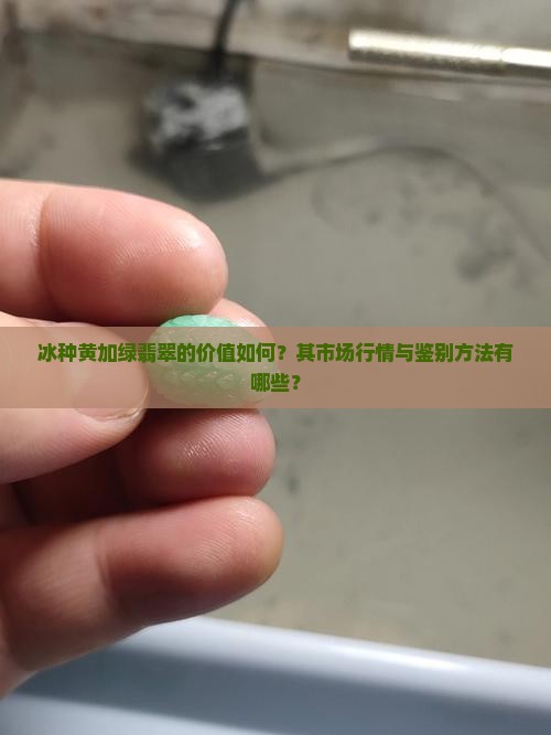 冰种黄加绿翡翠的价值如何？其市场行情与鉴别方法有哪些？