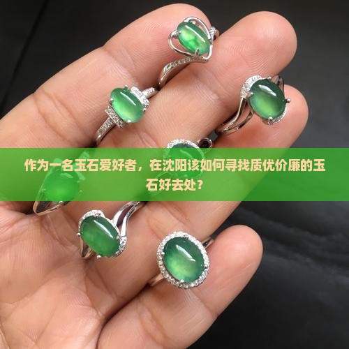 作为一名玉石爱好者，在沈阳该如何寻找质优价廉的玉石好去处？