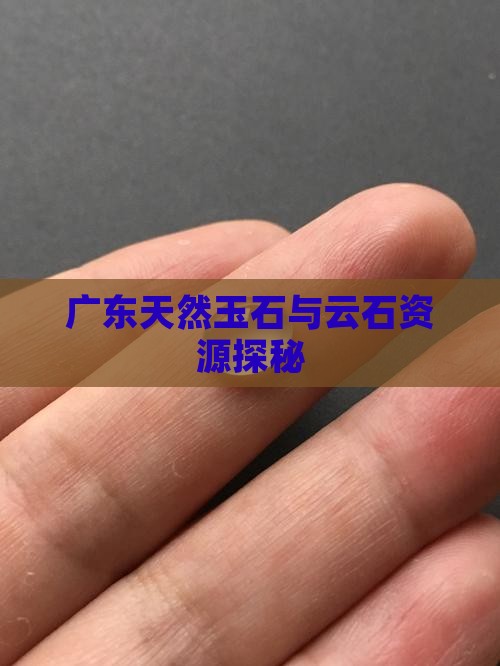 广东天然玉石与云石资源探秘