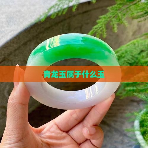 青龙玉属于什么玉