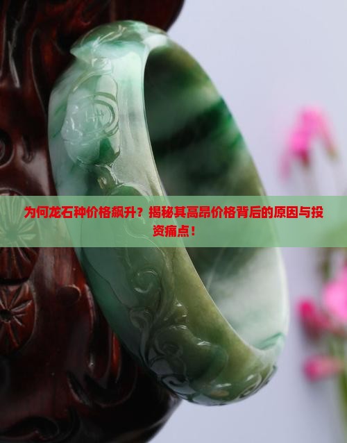 为何龙石种价格飙升？揭秘其高昂价格背后的原因与投资痛点！