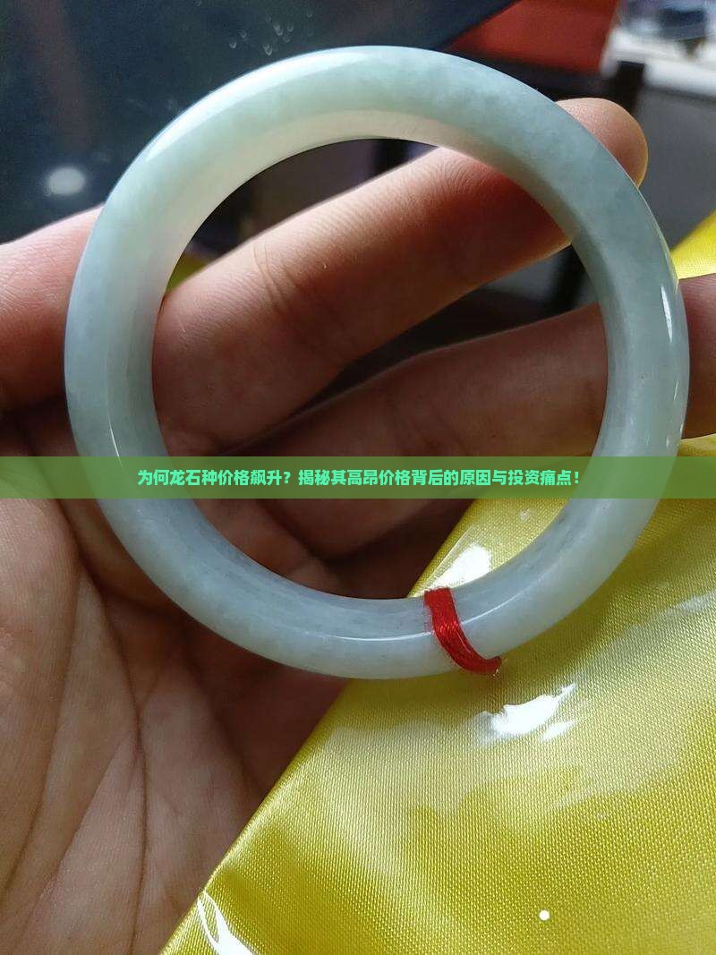 为何龙石种价格飙升？揭秘其高昂价格背后的原因与投资痛点！