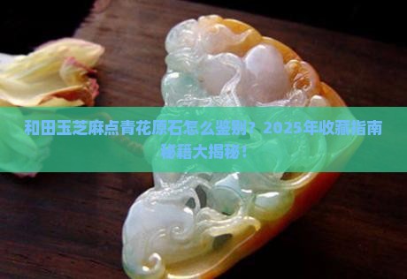 和田玉芝麻点青花原石