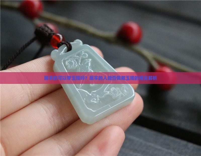 属羊的可以带玉镯吗