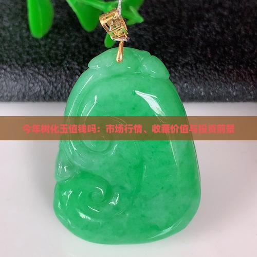 今年树化玉值钱吗
