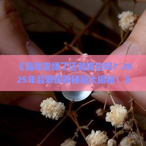 翡翠变绿了还能变白吗