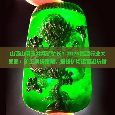 山西山阴玉井煤矿矿长