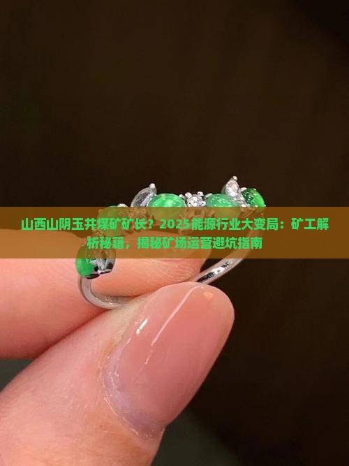 山西山阴玉井煤矿矿长