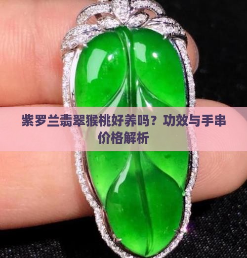 紫罗兰翡翠猴桃