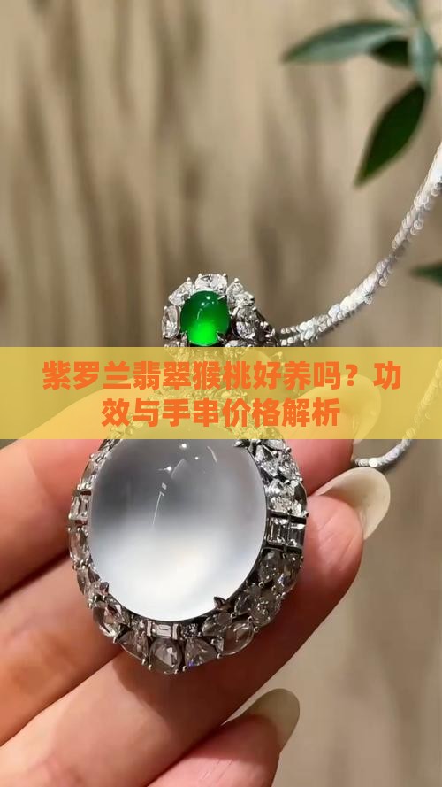 紫罗兰翡翠猴桃