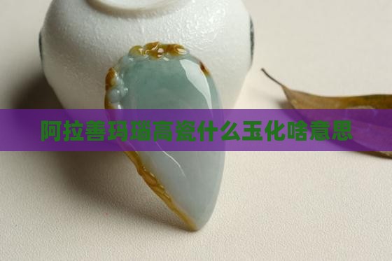 阿拉善玛瑙高瓷玉化啥意思