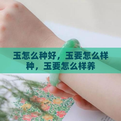 玉怎么种好