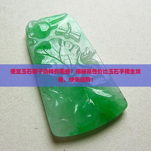 便宜玉石镯子品种有哪些