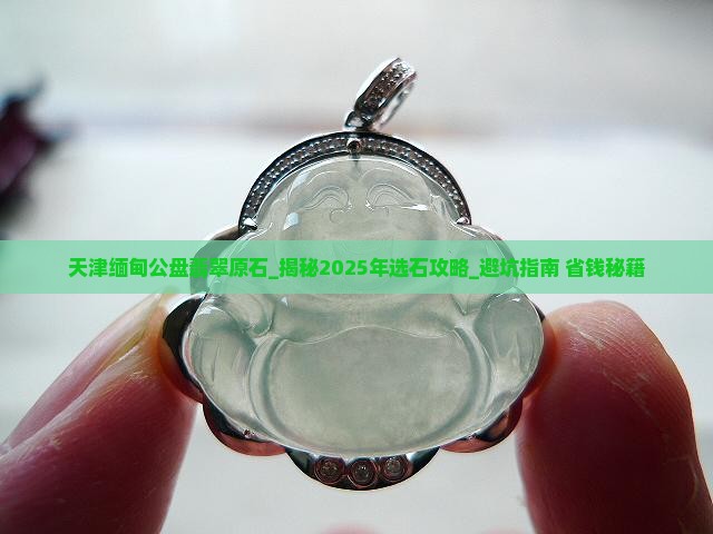 天津缅甸公盘翡翠原石