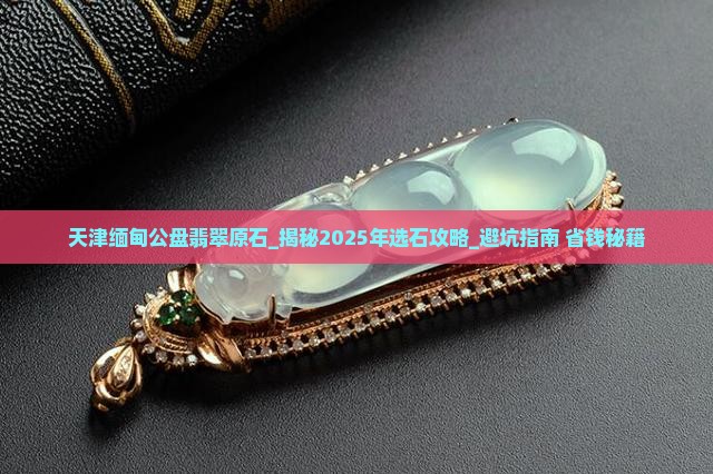 天津缅甸公盘翡翠原石