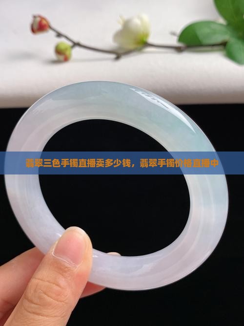 翡翠三色手镯直播卖多少钱