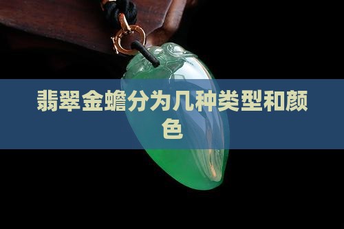 翡翠金蟾分为几种