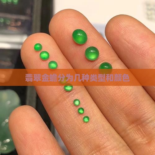 翡翠金蟾分为几种