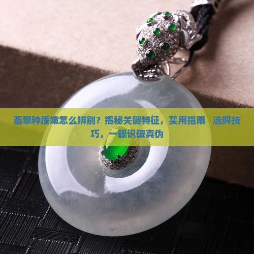 怎么辨别翡翠种质嫩