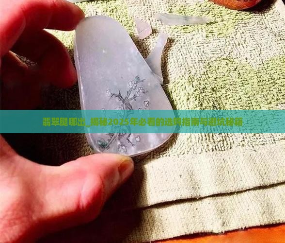 翡翠腿哪出