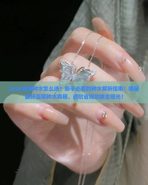 最好翡翠种水种