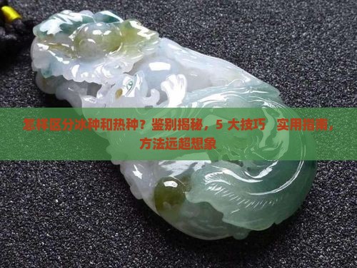 怎样区分冰种和热种