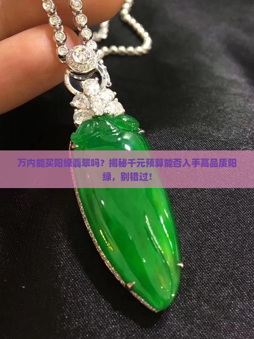 万内能买阳绿翡翠吗