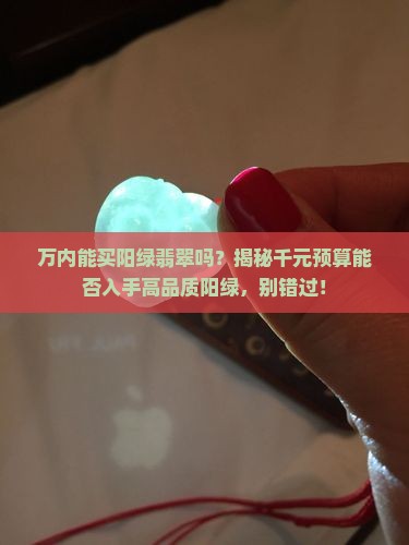 万内能买阳绿翡翠吗