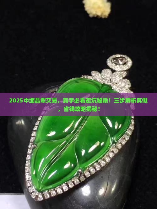 中缅边境翡翠菁菁