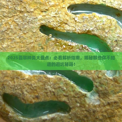 翡翠的种类分别是哪些