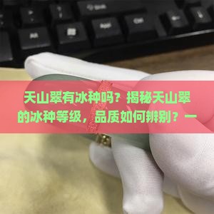天山翠有冰种吗