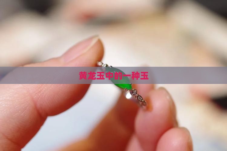 黄龙玉中的玉