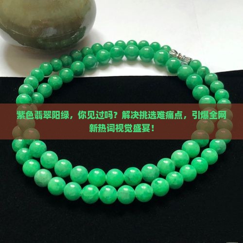 紫色翡翠阳绿